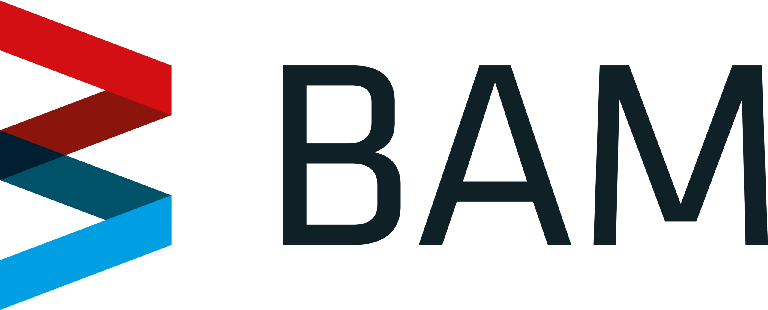motionlab_BAM-logo