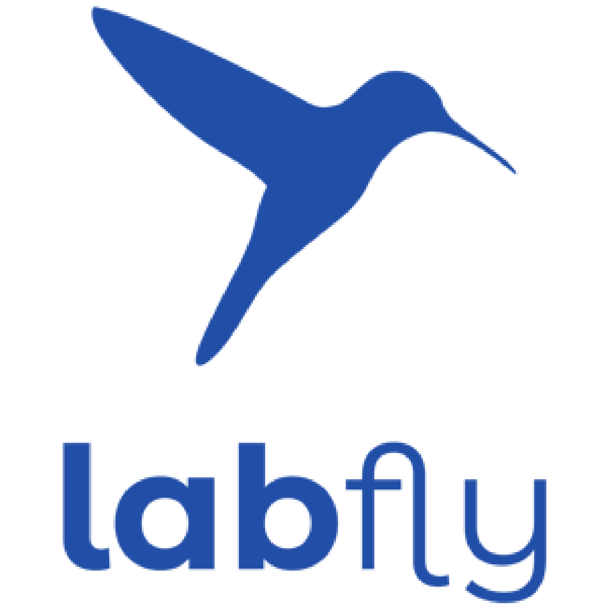 motionlab_labfly-logo